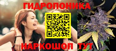 мяу мяу мука Волжский