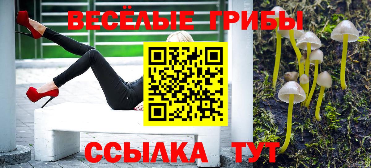 Псилоцибиновые грибы Psilocybine cubensis Сергиев Посад