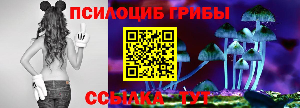Сергиев Посад  Галлюциногенные грибы MAGIC MUSHROOMS  где купить   Вход с VPN 